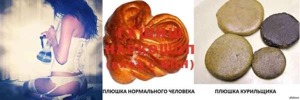 ГАЛЛЮЦИНОГЕННЫЕ ГРИБЫ Вяземский