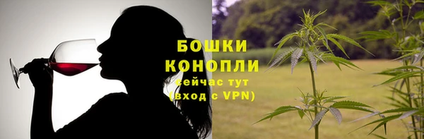ГАЛЛЮЦИНОГЕННЫЕ ГРИБЫ Вяземский