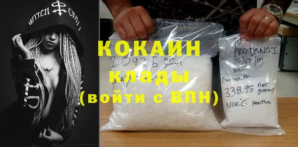 ГАЛЛЮЦИНОГЕННЫЕ ГРИБЫ Вяземский